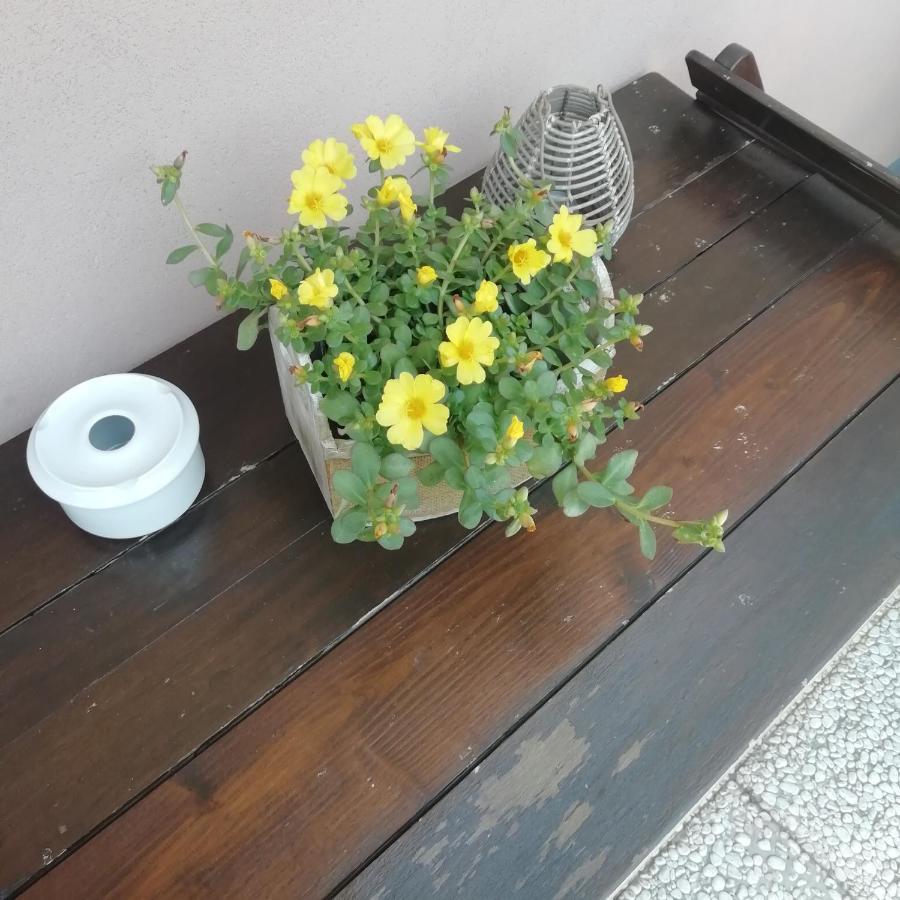 A&G Apartment Zanica Ngoại thất bức ảnh