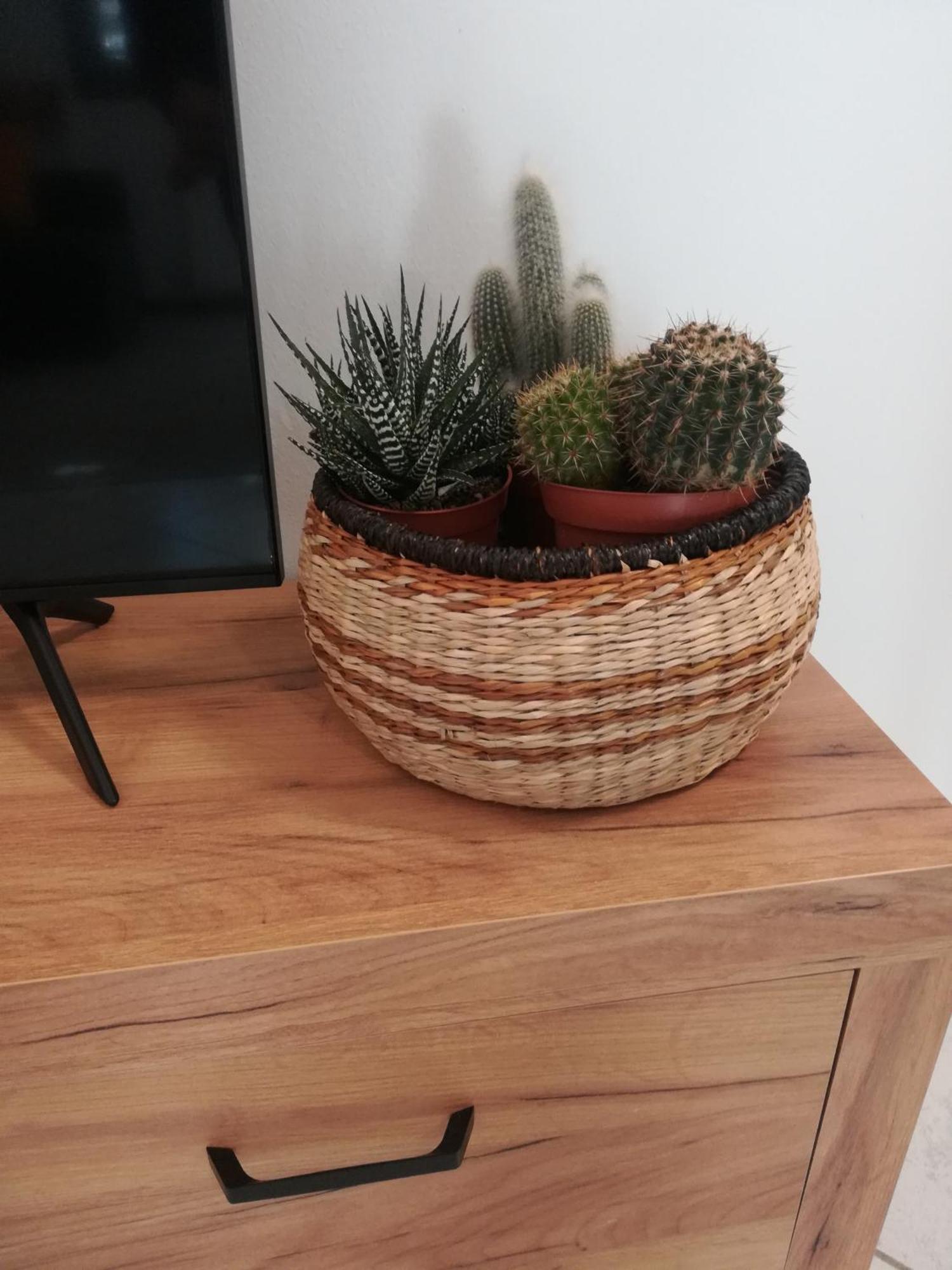 A&G Apartment Zanica Ngoại thất bức ảnh